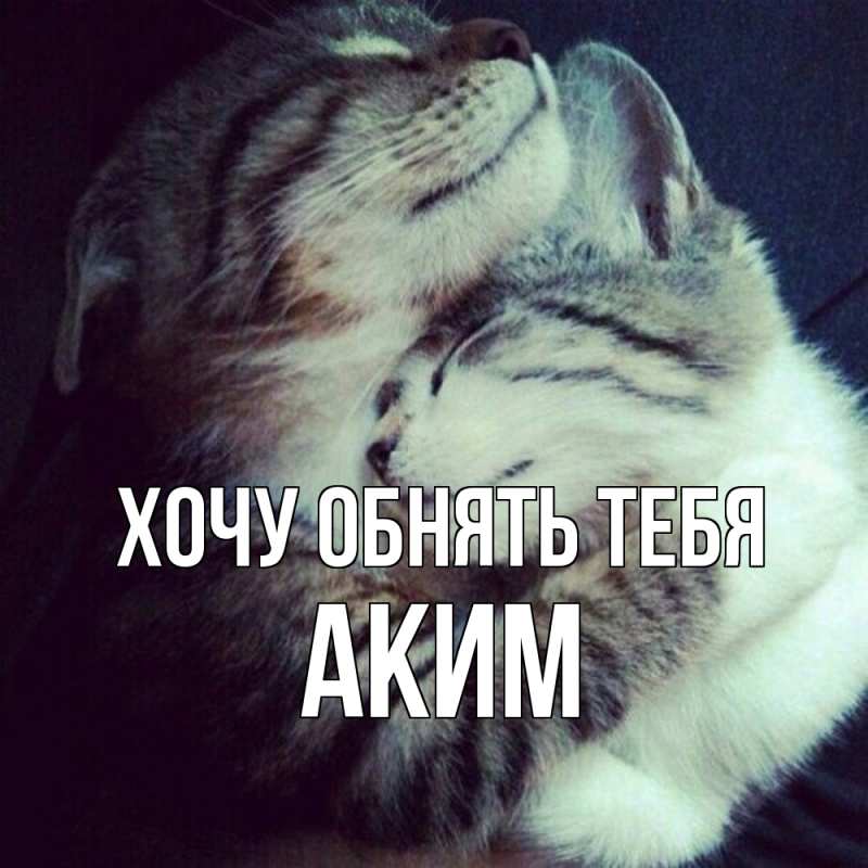 Картинка Хочу обнять тебя, Аким