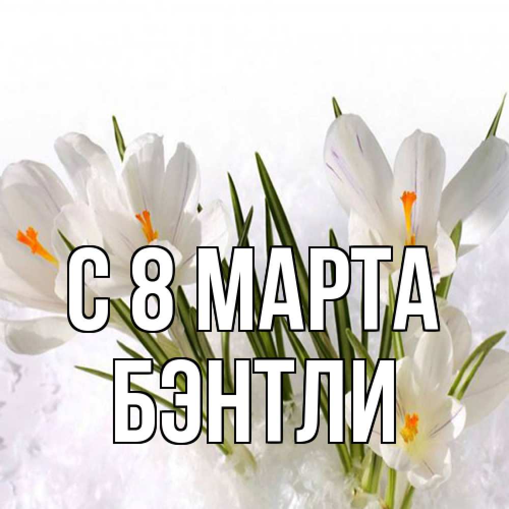 Открытка на каждый день с именем, Бэнтли C 8 МАРТА под снегом Прикольная открытка с пожеланием онлайн скачать бесплатно 