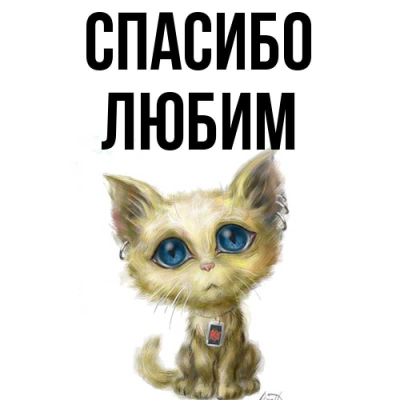 Картинка Спасибо, Любим