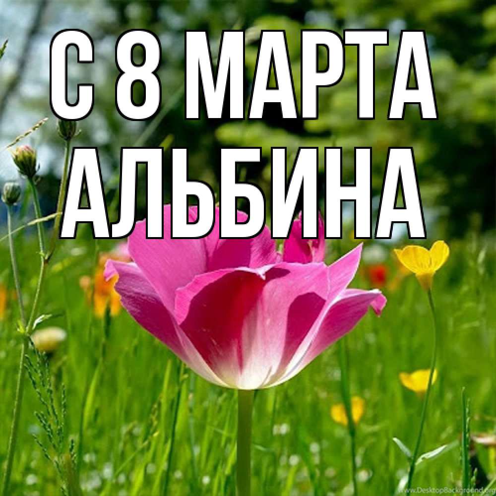 Открытка на каждый день с именем, Альбина C 8 МАРТА полевые цветы Прикольная открытка с пожеланием онлайн скачать бесплатно 