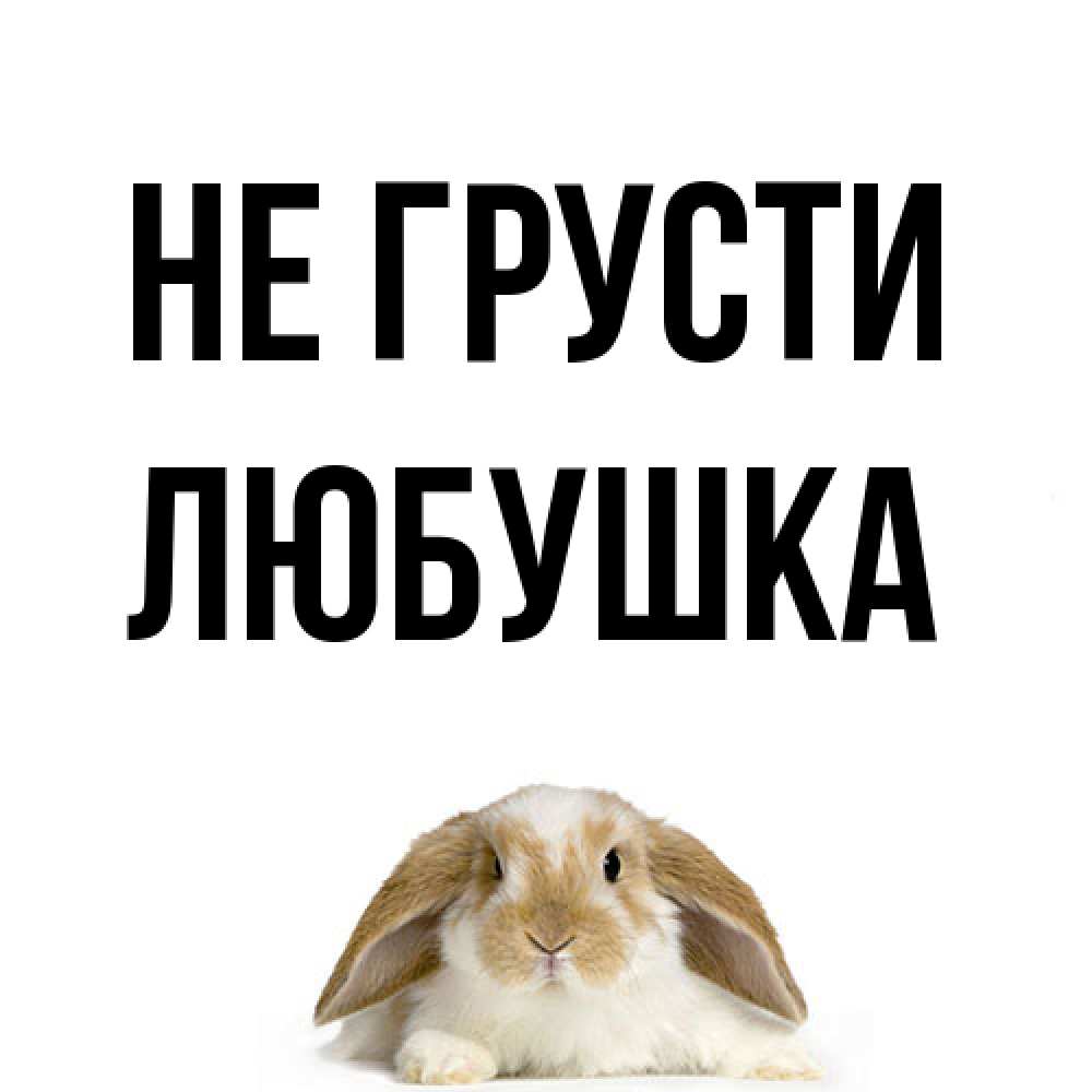 Открытка на каждый день с именем, Любушка Не грусти коричнево белый заяц с большими ушками Прикольная открытка с пожеланием онлайн скачать бесплатно 
