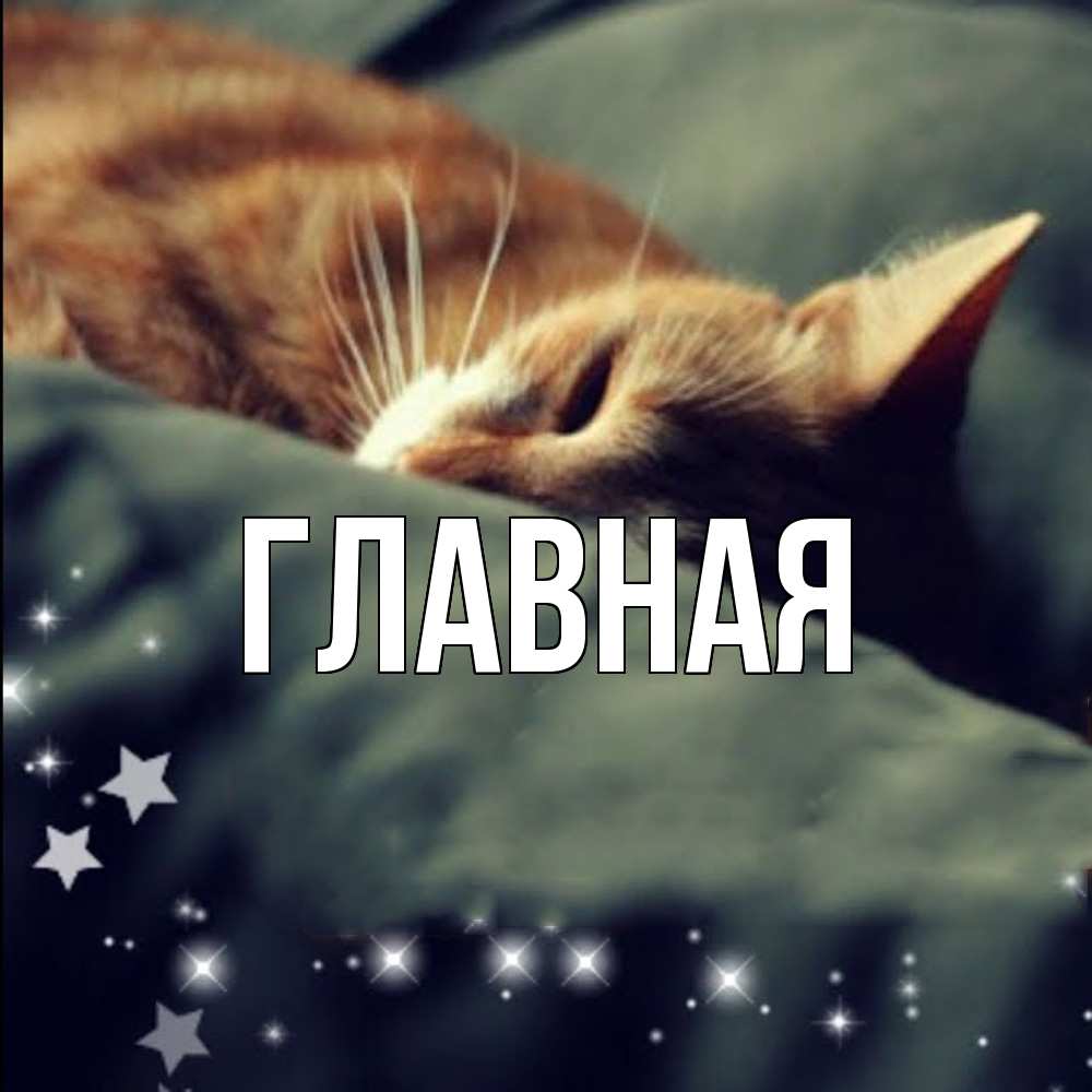 Открытка на каждый день с именем, настя Главная кроватка Прикольная открытка с пожеланием онлайн скачать бесплатно 