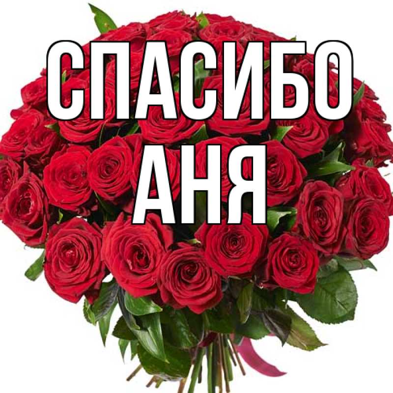 Картинка Спасибо, Аня
