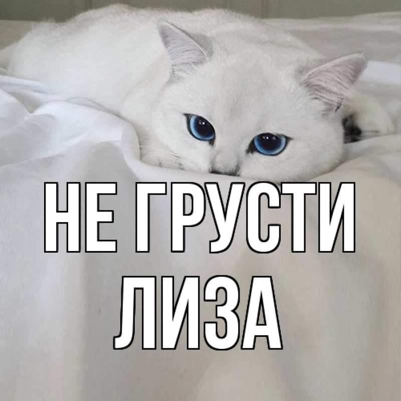 Картинка Не грусти, Лиза