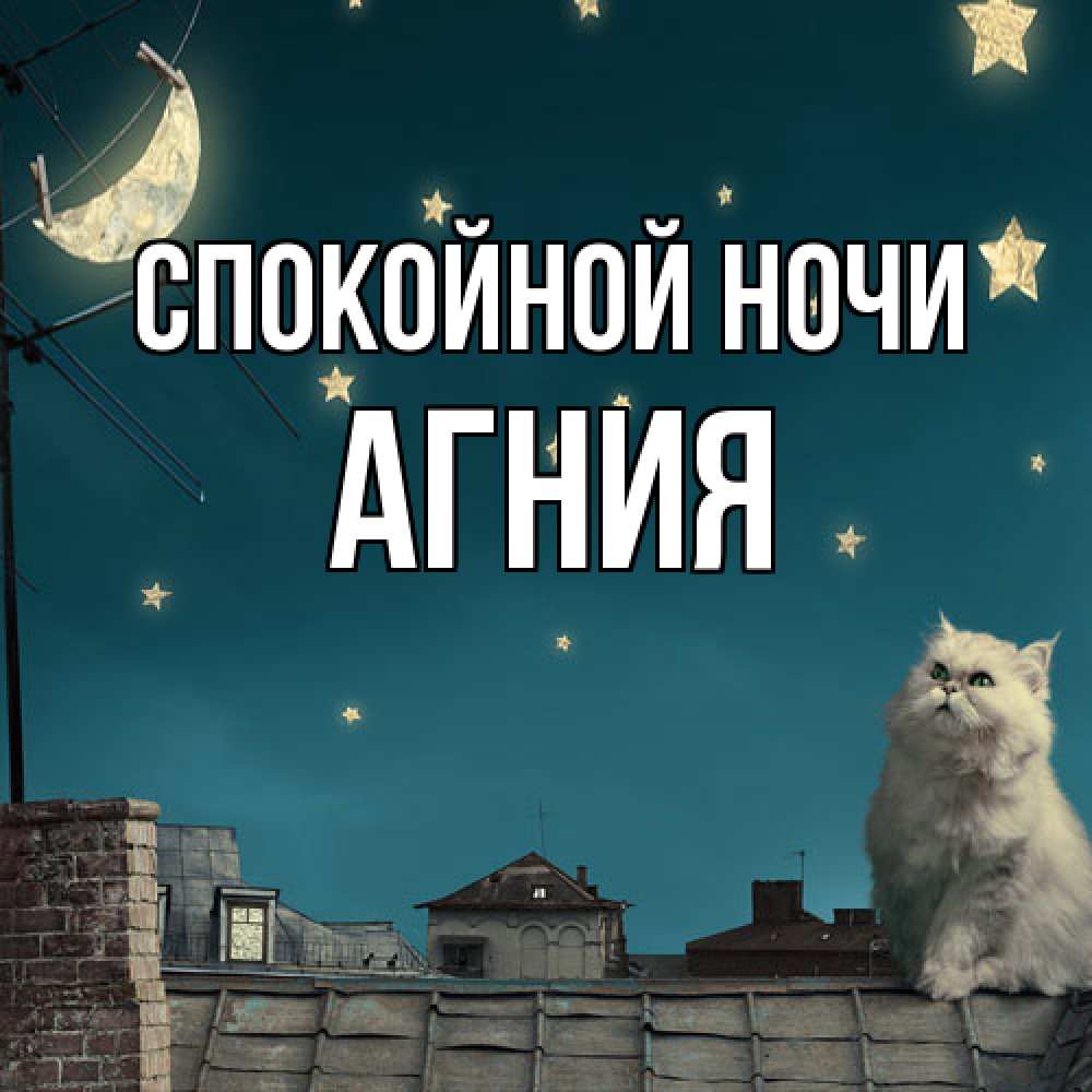 Открытка на каждый день с именем, Агния Спокойной ночи белый кот сидит на крыше Прикольная открытка с пожеланием онлайн скачать бесплатно 