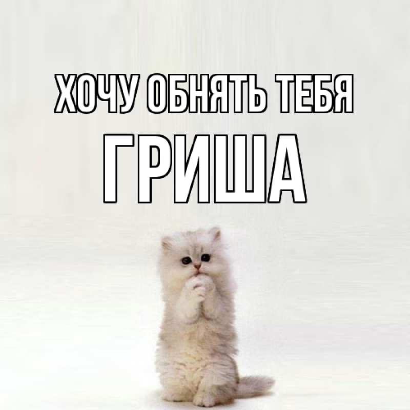Картинка Хочу обнять тебя, Гриша