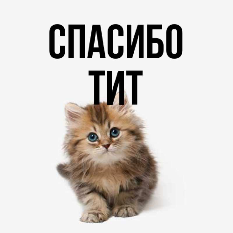 Открытка с именем, Тит, Спасибо