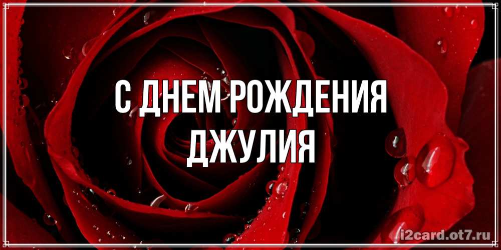 Открытка на каждый день с именем, Джулия С днем рождения крупная бордовая роза Прикольная открытка с пожеланием онлайн скачать бесплатно 