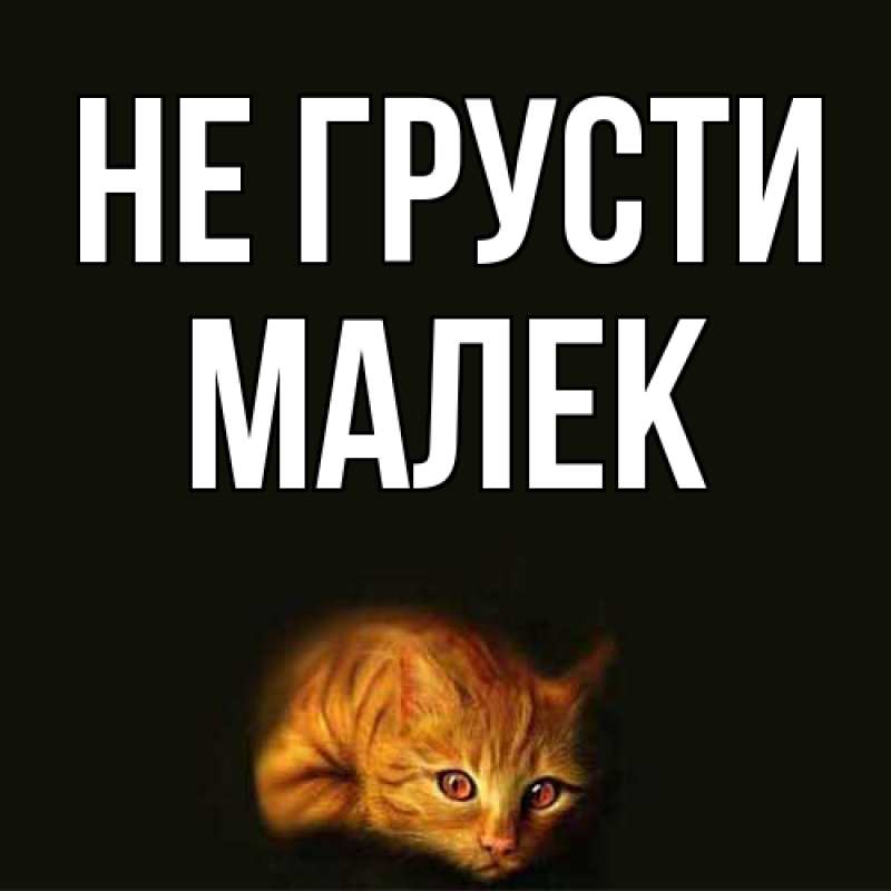 Картинка Не грусти, Малек