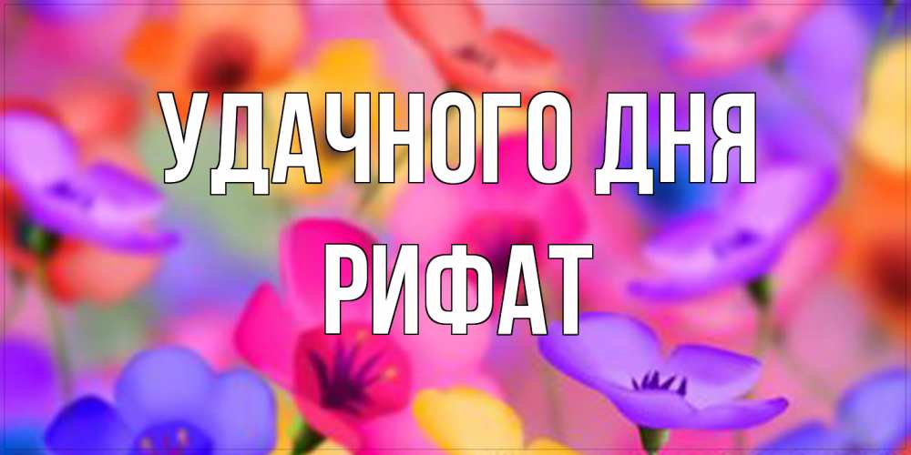 Открытка на каждый день с именем, Рифат Удачного дня открытка повышающая настроение Прикольная открытка с пожеланием онлайн скачать бесплатно 