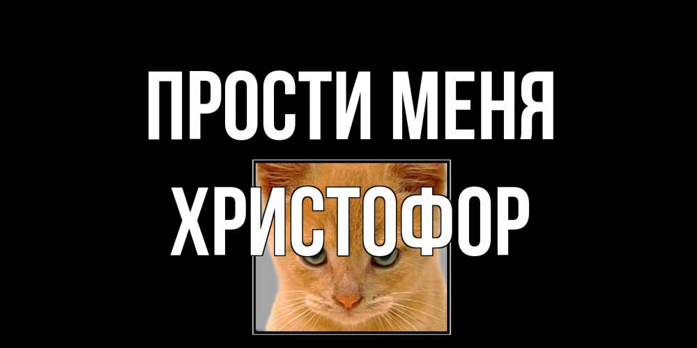 Открытка на каждый день с именем, Христофор Прости меня рыжий грустный кот просит прощения Прикольная открытка с пожеланием онлайн скачать бесплатно 