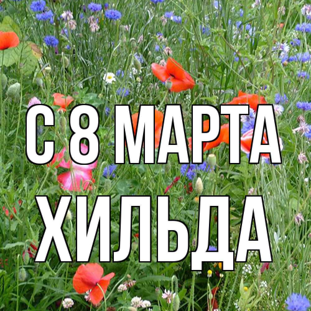 Открытка на каждый день с именем, Хильда C 8 МАРТА международный женский день 4 Прикольная открытка с пожеланием онлайн скачать бесплатно 
