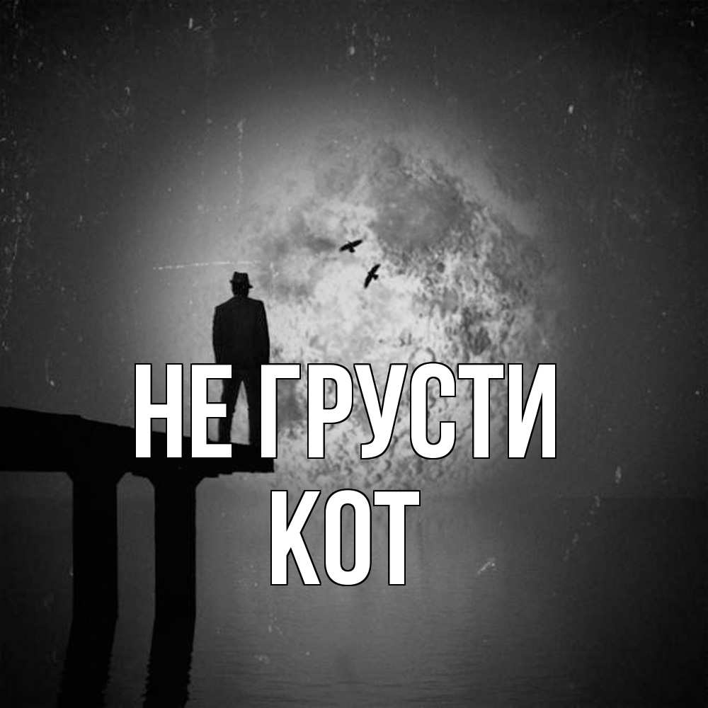 Открытка на каждый день с именем, Кот Не грусти мужчина на мосту Прикольная открытка с пожеланием онлайн скачать бесплатно 