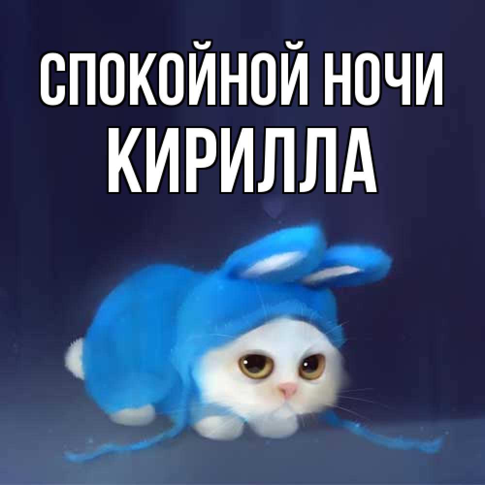 Открытка на каждый день с именем, Кирилла Спокойной ночи кот в голубом костюме кролика с ушками Прикольная открытка с пожеланием онлайн скачать бесплатно 