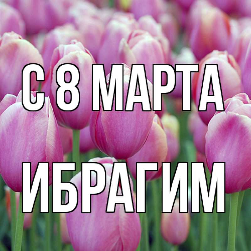 Картинка C 8 МАРТА, Ибрагим