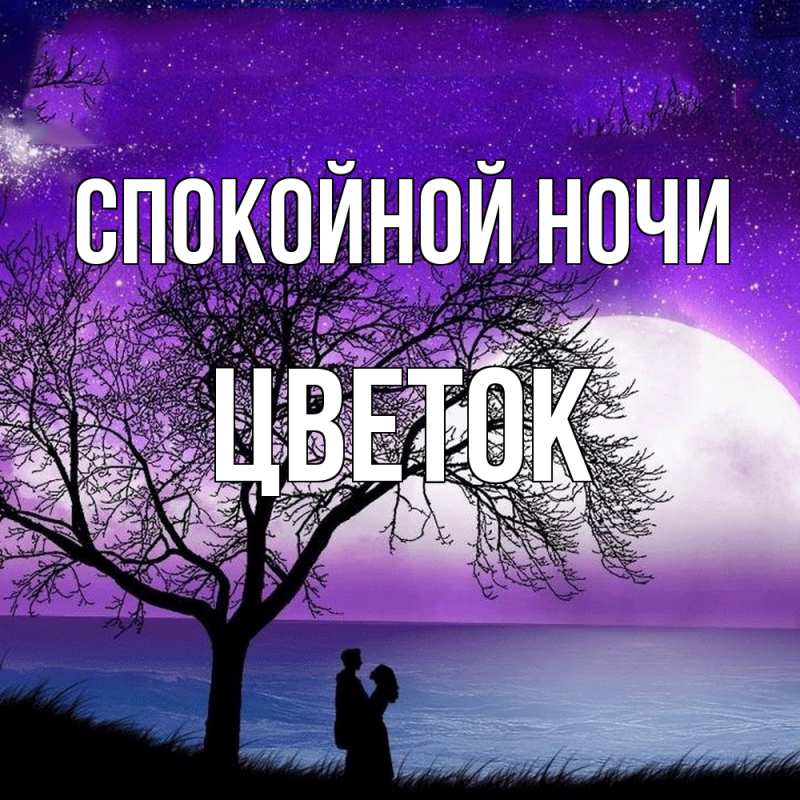 Картинка Спокойной ночи, Цветок