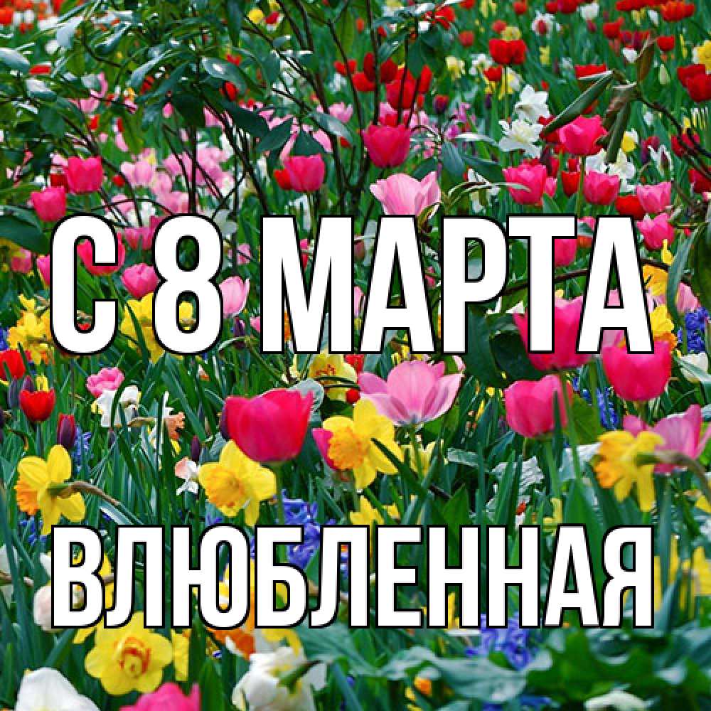 Открытка на каждый день с именем, Влюбленная C 8 МАРТА с международным женским днем поздравления для женщины Прикольная открытка с пожеланием онлайн скачать бесплатно 