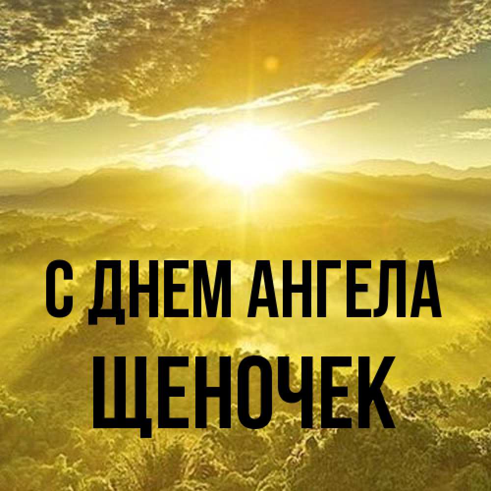 Открытка на каждый день с именем, Щеночек С днем ангела леса и небо в желтом Прикольная открытка с пожеланием онлайн скачать бесплатно 
