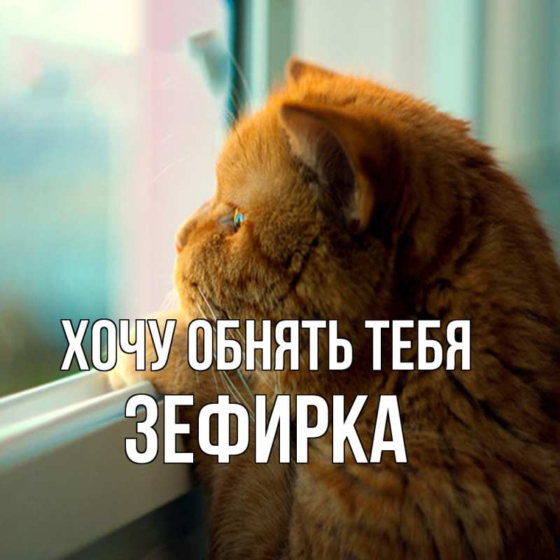 Картинка Хочу обнять тебя, зефирка