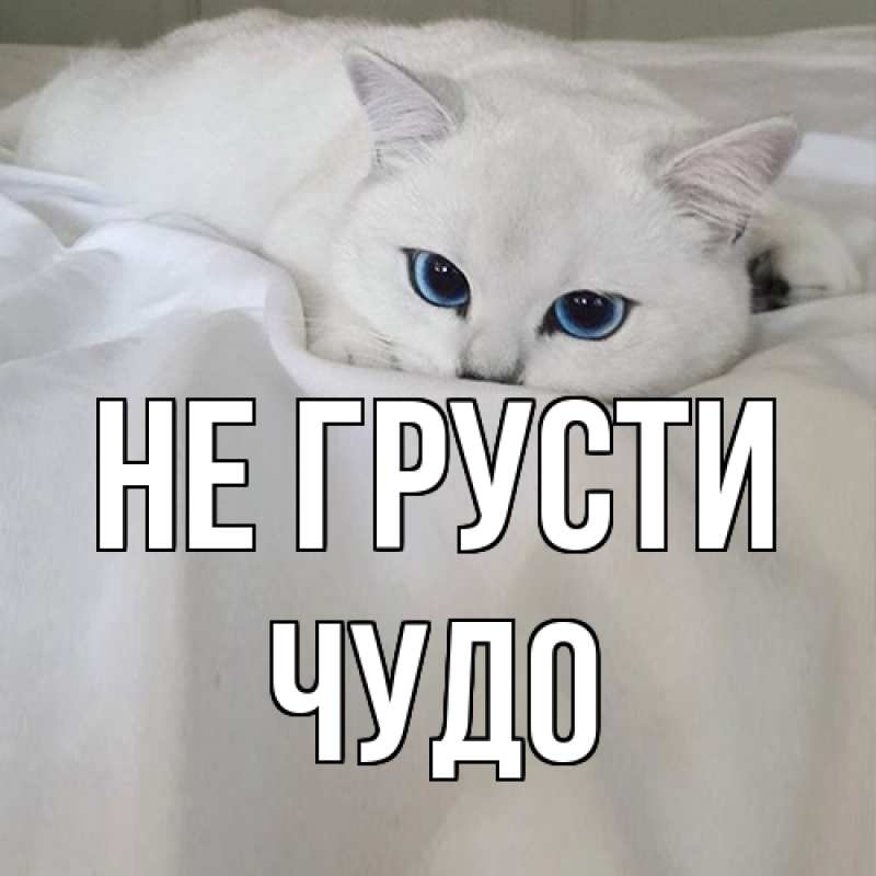 Картинка Не грусти, Чудо