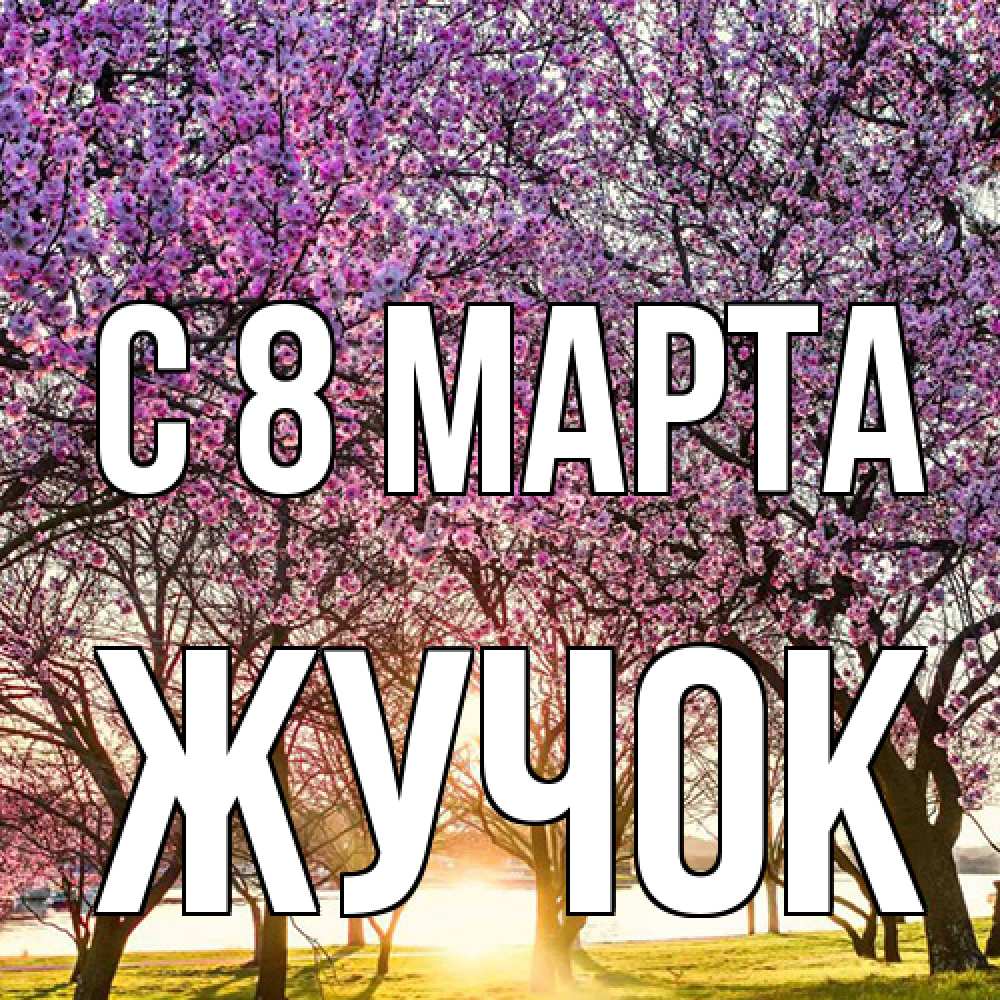 Открытка на каждый день с именем, жучок C 8 МАРТА международный женский день Прикольная открытка с пожеланием онлайн скачать бесплатно 