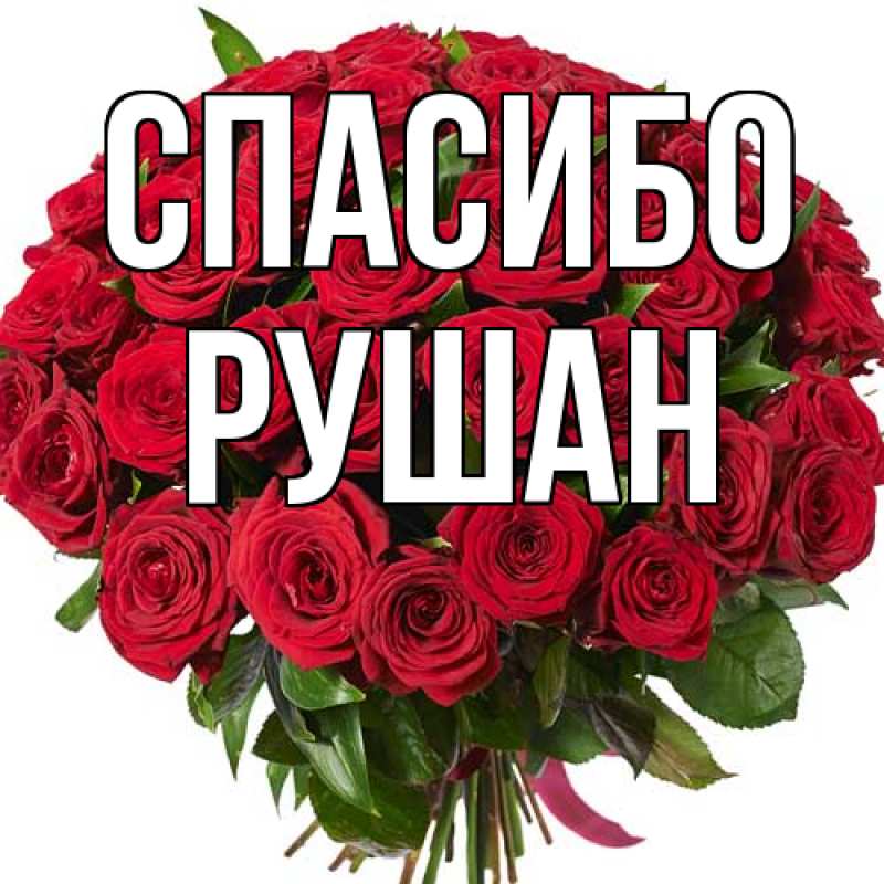 Картинка Спасибо, Рушан