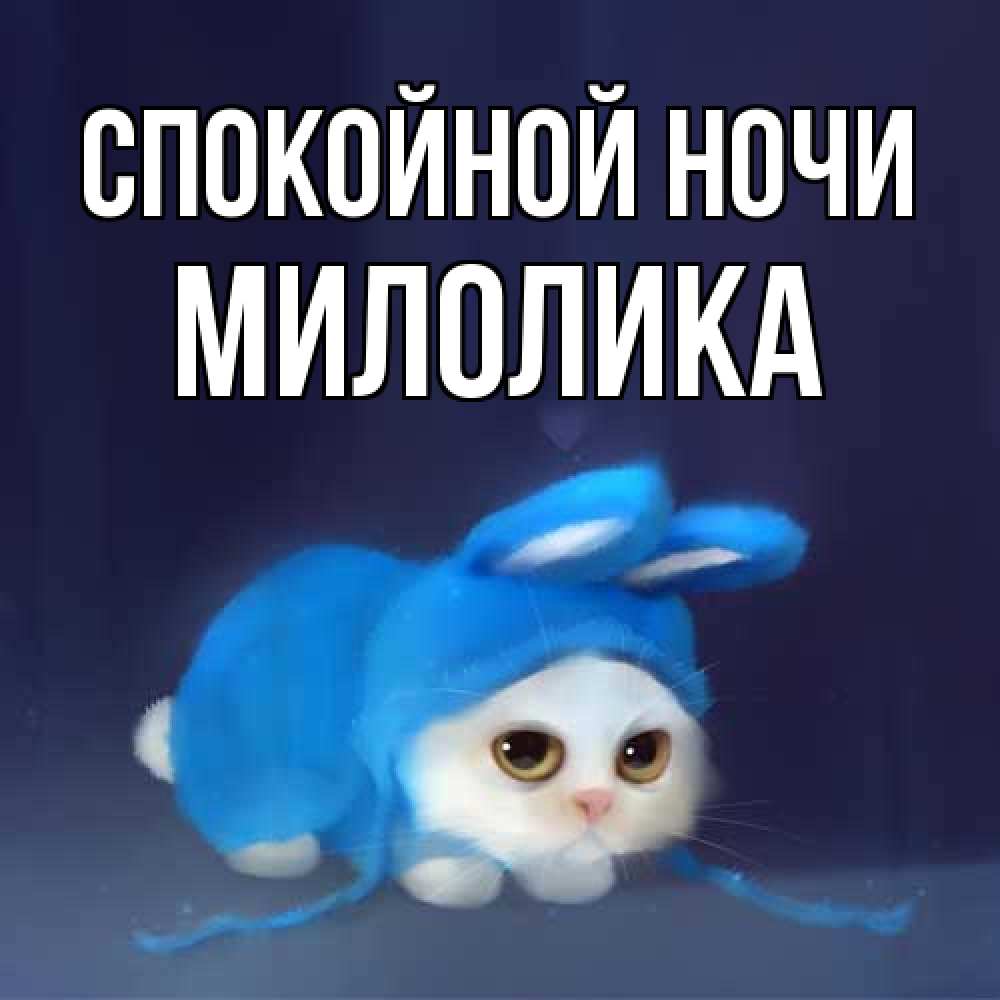 Открытка на каждый день с именем, Милолика Спокойной ночи кот в голубом костюме кролика с ушками Прикольная открытка с пожеланием онлайн скачать бесплатно 