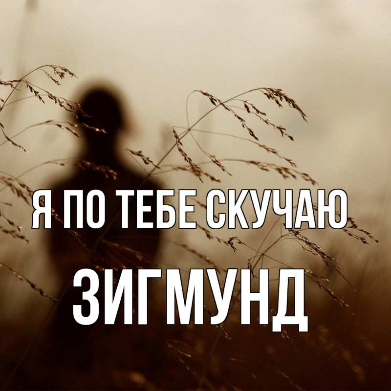 Картинка Я по тебе скучаю, Зигмунд