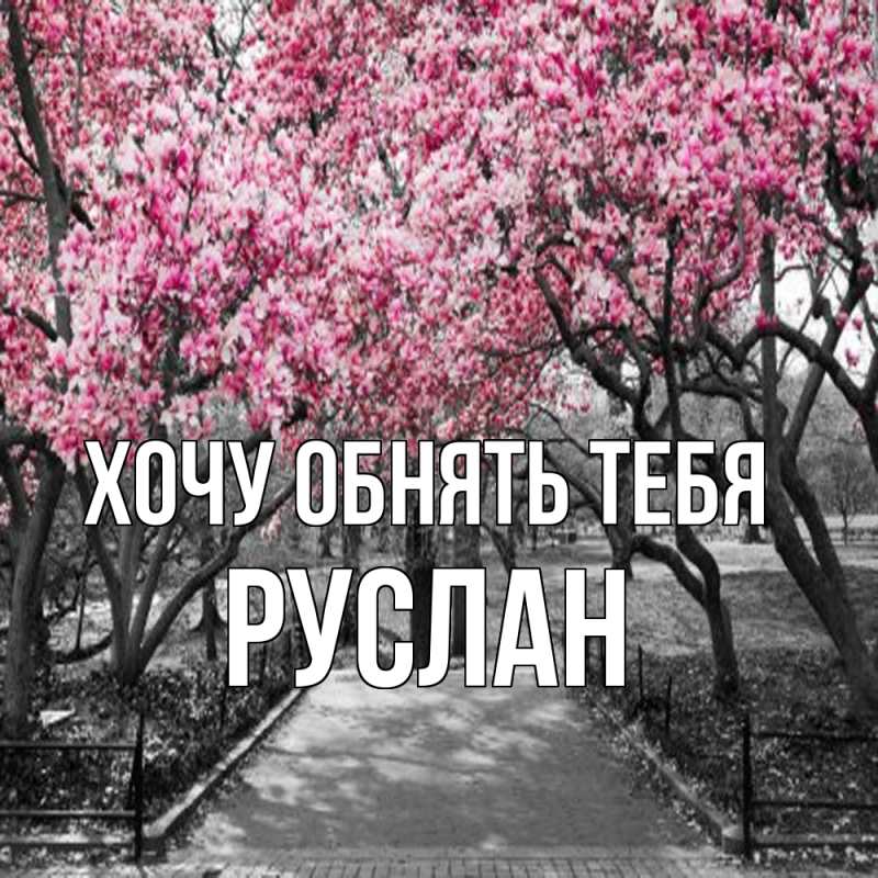 Картинка Хочу обнять тебя, Руслан