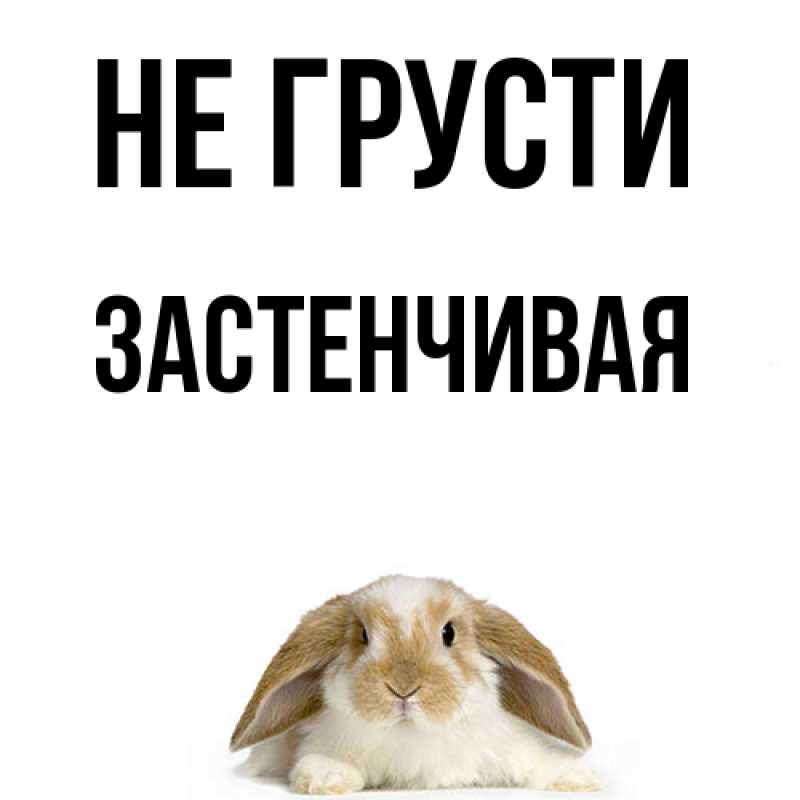 Картинка Не грусти, Застенчивая