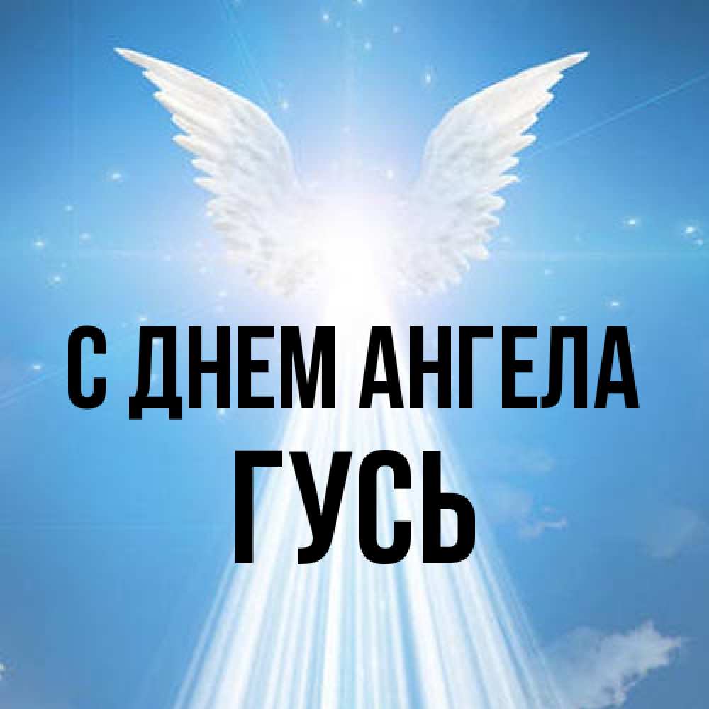 Открытка на каждый день с именем, Гусь С днем ангела поток света Прикольная открытка с пожеланием онлайн скачать бесплатно 