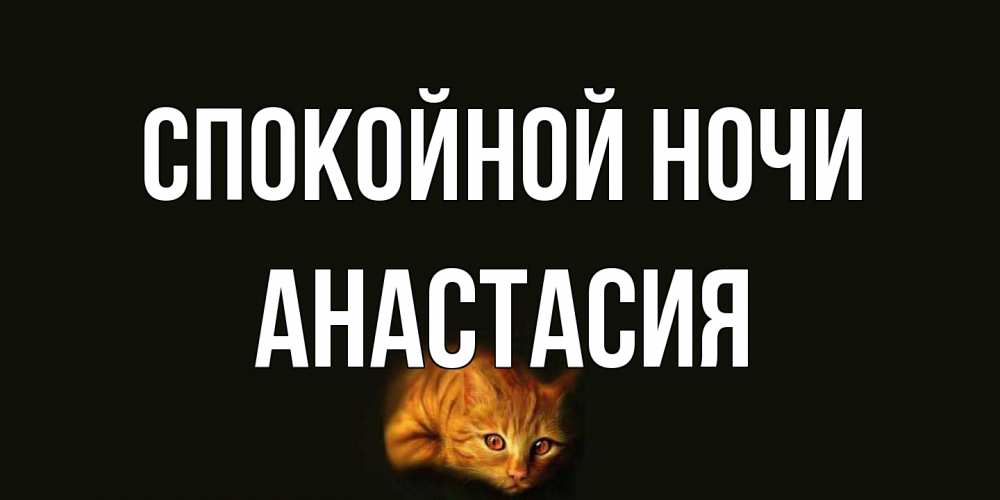 Открытка на каждый день с именем, Анастасия Спокойной ночи кот Прикольная открытка с пожеланием онлайн скачать бесплатно 