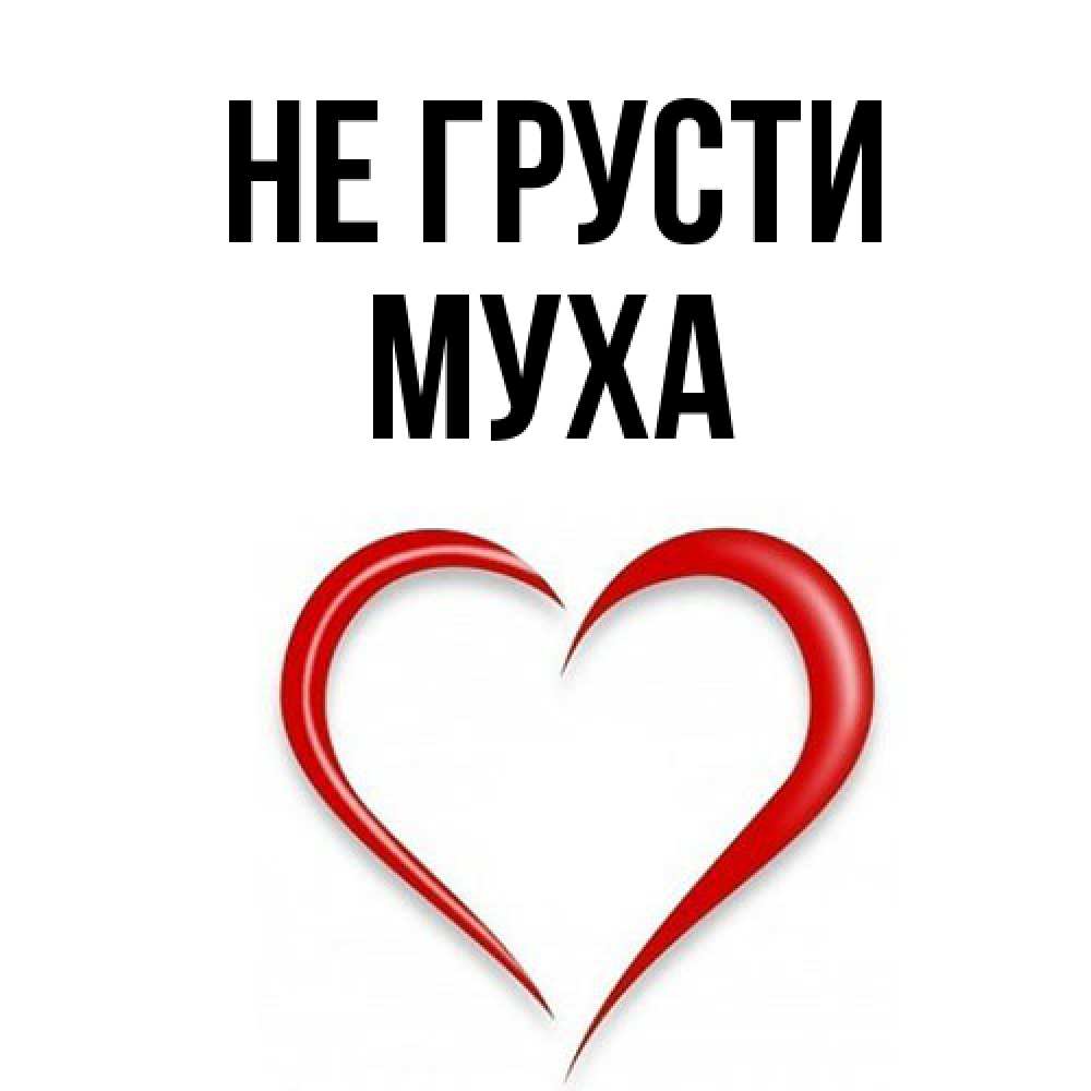 Открытка на каждый день с именем, Муха Не грусти для любимой Прикольная открытка с пожеланием онлайн скачать бесплатно 