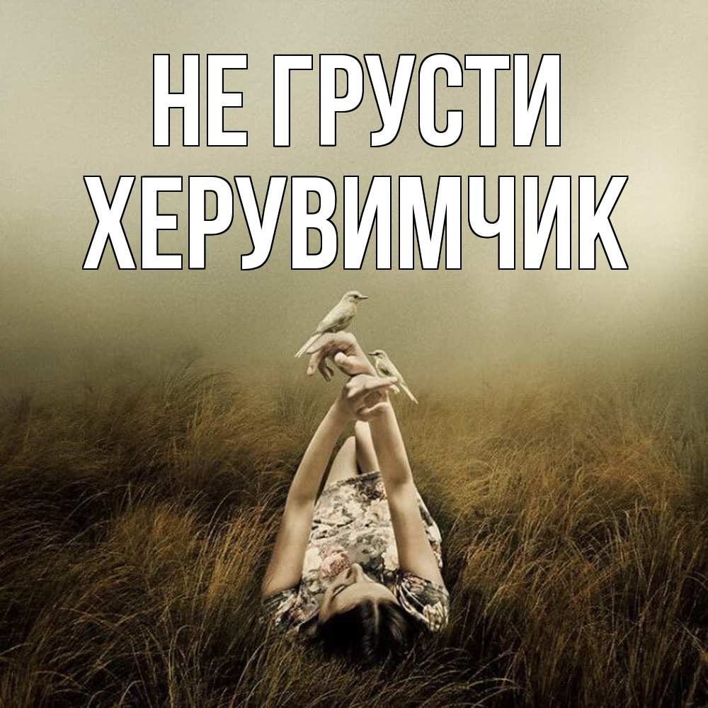 Открытка на каждый день с именем, Хеpувимчик Не грусти поле и туман Прикольная открытка с пожеланием онлайн скачать бесплатно 
