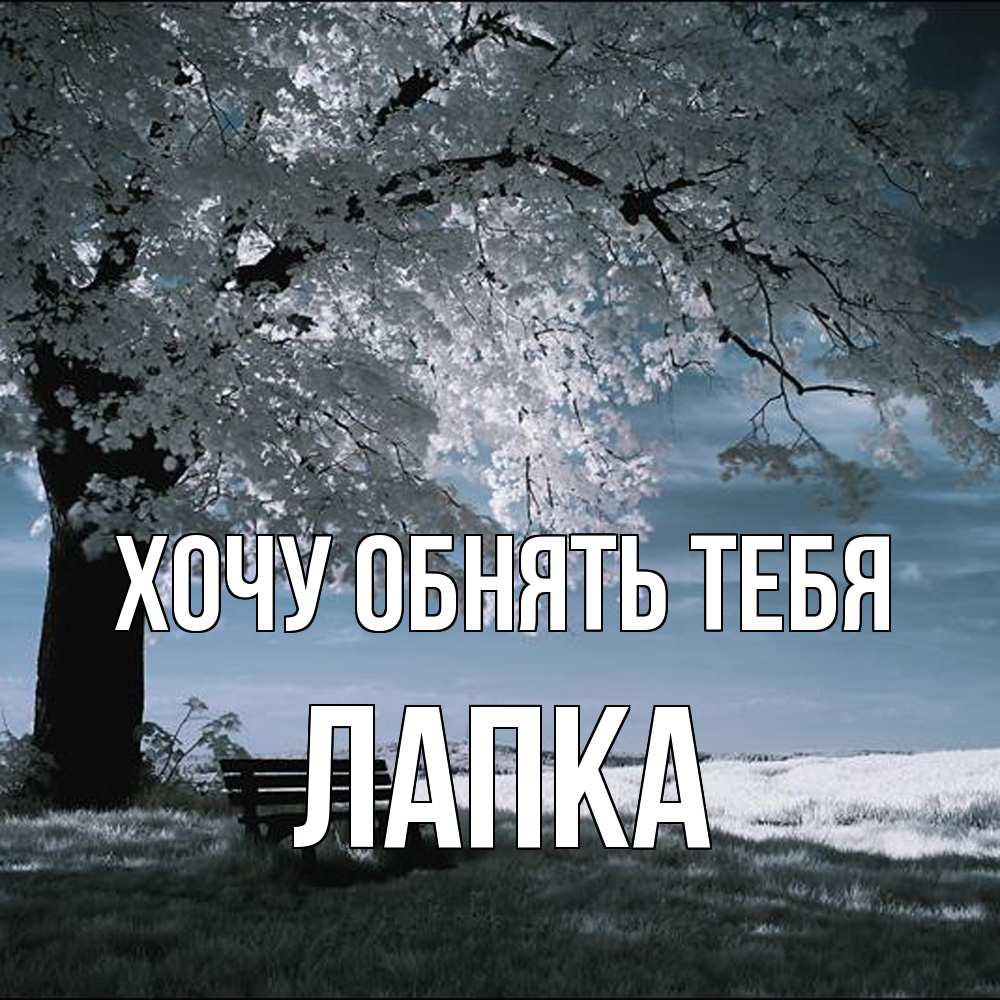 Открытка на каждый день с именем, лапка Хочу обнять тебя дерево Прикольная открытка с пожеланием онлайн скачать бесплатно 