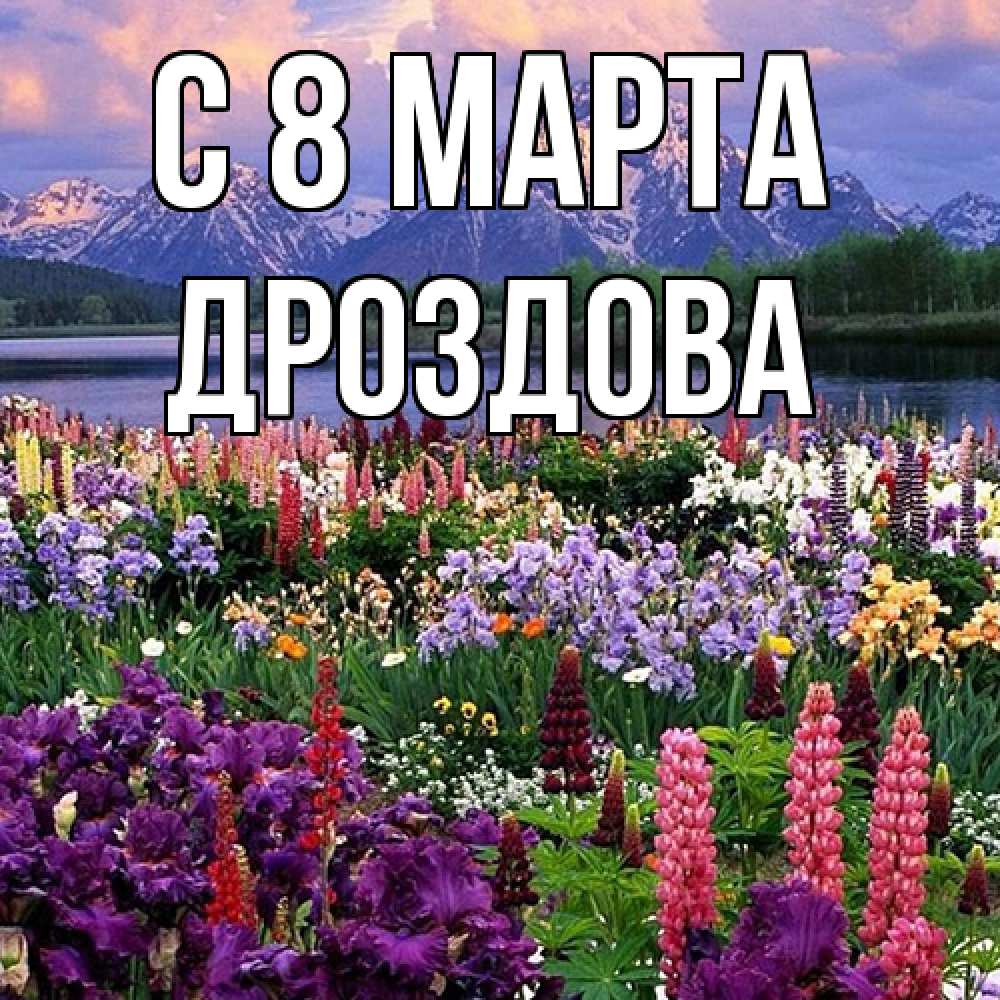 Открытка на каждый день с именем, Дроздова C 8 МАРТА международный женский день Прикольная открытка с пожеланием онлайн скачать бесплатно 