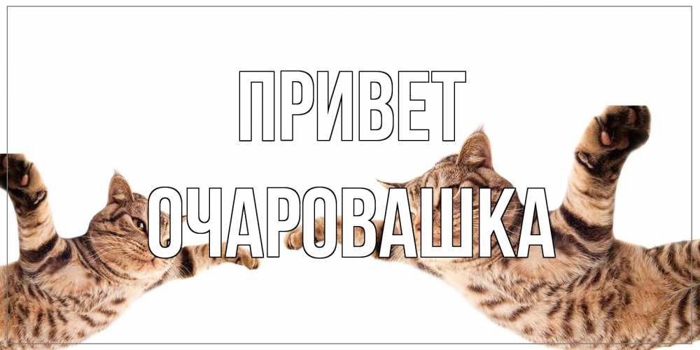 Открытка на каждый день с именем, Очаровашка Привет кот Прикольная открытка с пожеланием онлайн скачать бесплатно 