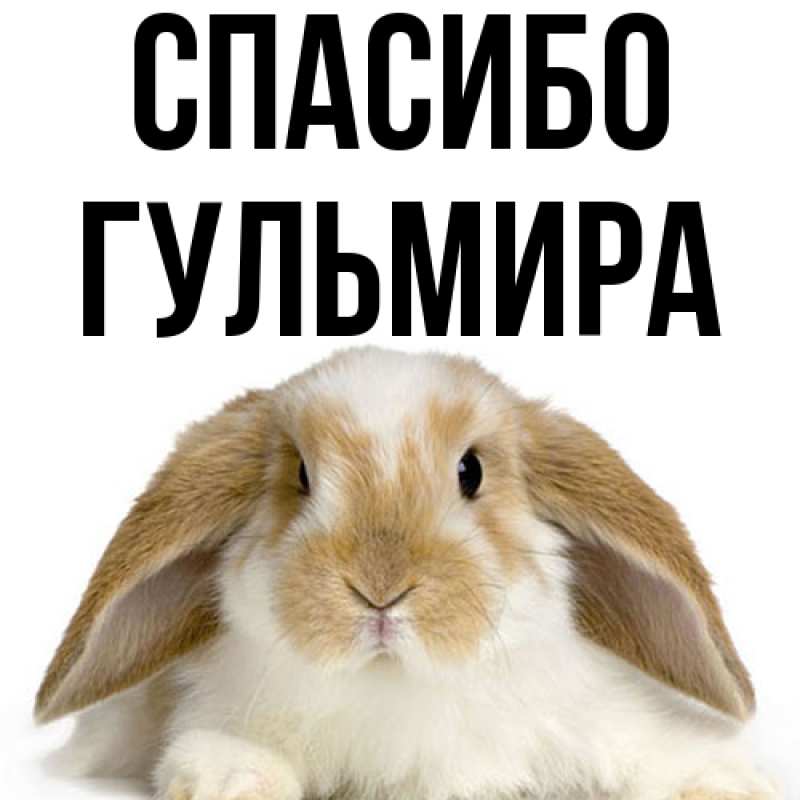 Картинка Спасибо, Гульмира