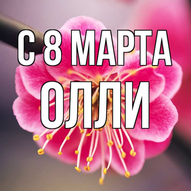 Картинка C 8 МАРТА, Олли