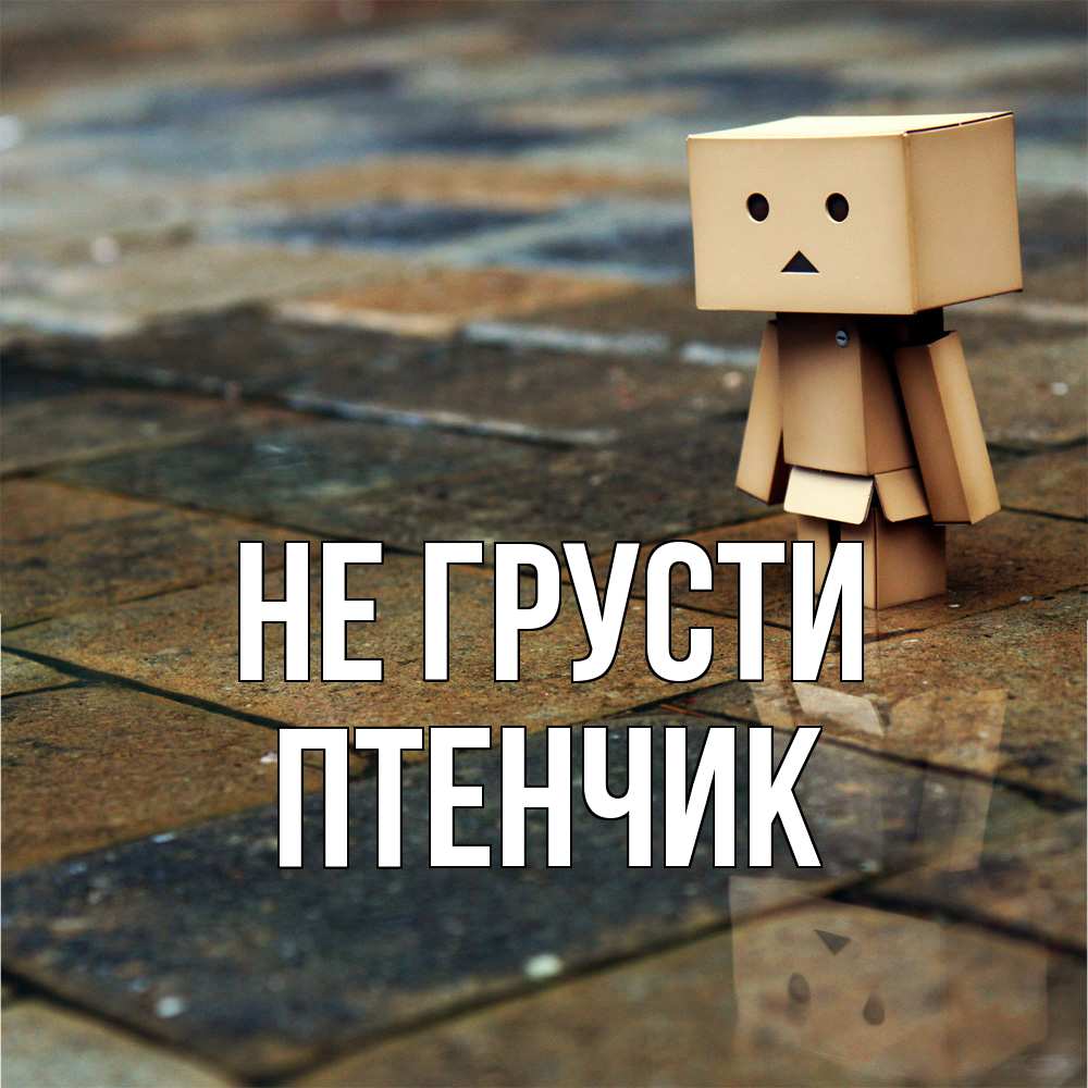 Открытка на каждый день с именем, Птенчик Не грусти Стив Прикольная открытка с пожеланием онлайн скачать бесплатно 