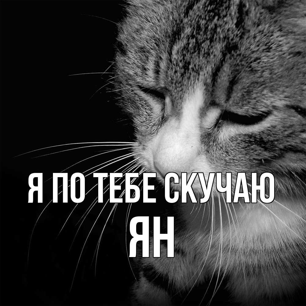 Открытка на каждый день с именем, Ян Я по тебе скучаю мне скучно Прикольная открытка с пожеланием онлайн скачать бесплатно 