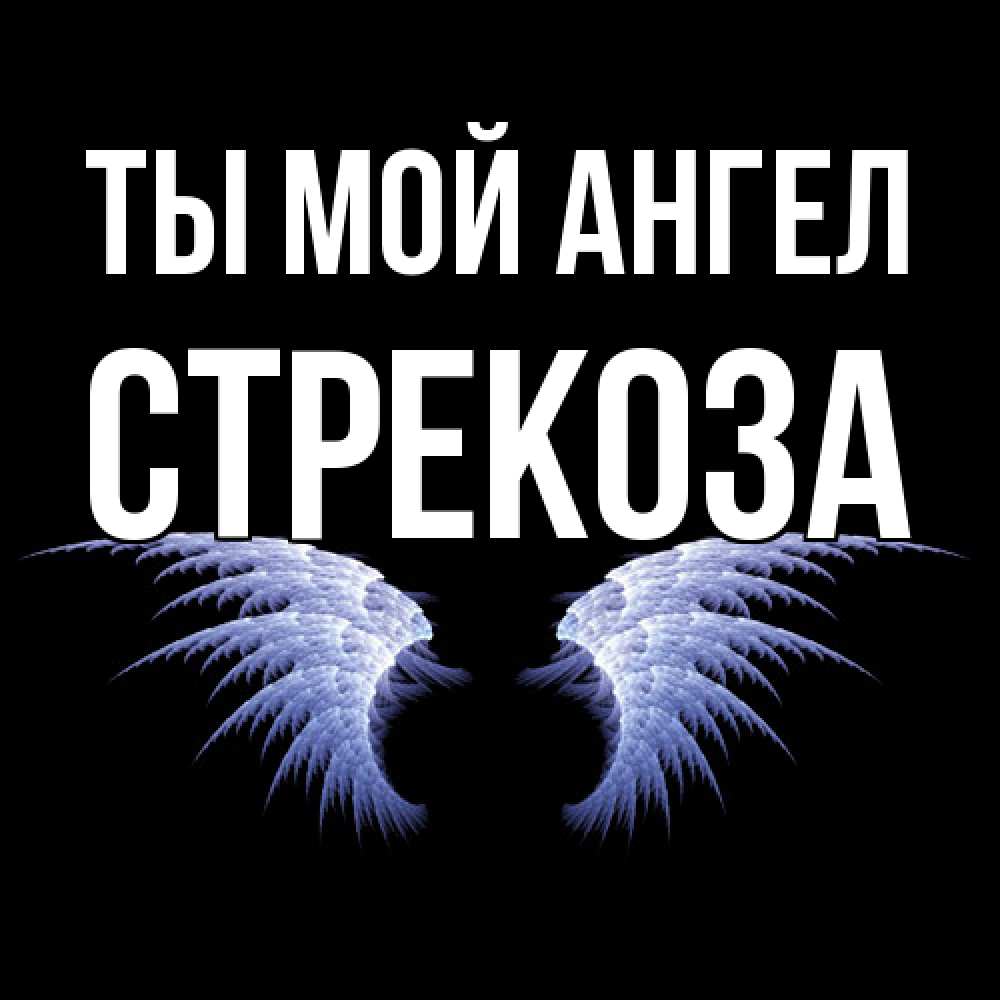 Открытка на каждый день с именем, Стрекоза Ты мой ангел ангельские крылья на черном фоне Прикольная открытка с пожеланием онлайн скачать бесплатно 