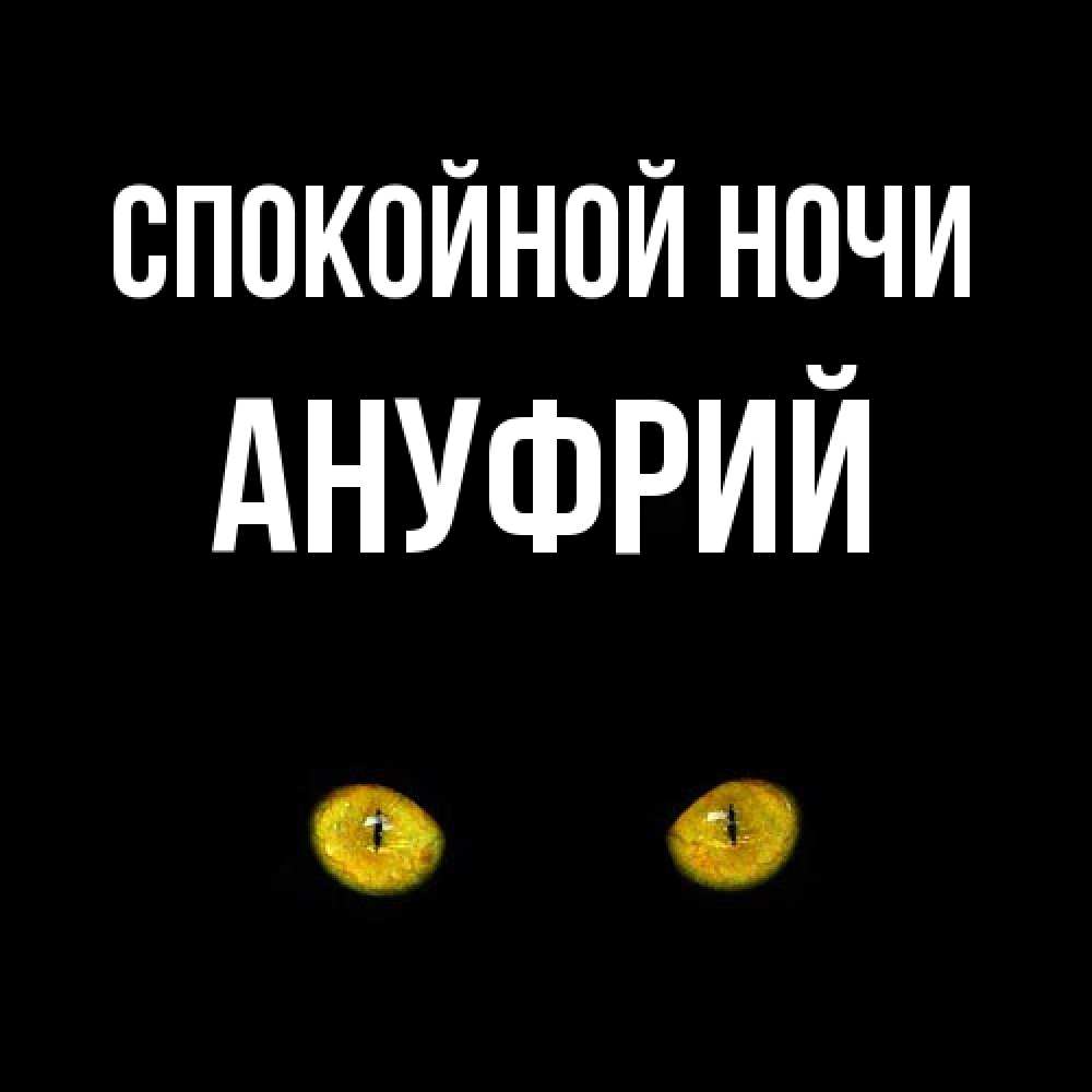 Открытка на каждый день с именем, Ануфрий Спокойной ночи сладких снов бесстрашный мой дружочек Прикольная открытка с пожеланием онлайн скачать бесплатно 