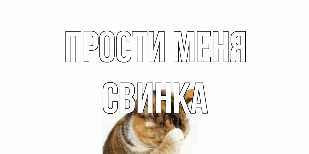 Открытка на каждый день с именем, Свинка Прости меня кот Прикольная открытка с пожеланием онлайн скачать бесплатно 