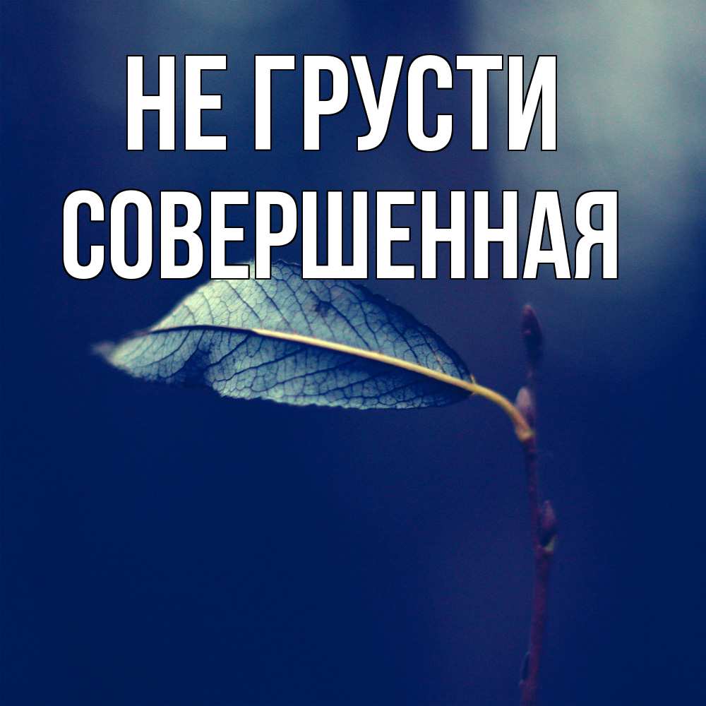 Открытка на каждый день с именем, Совершенная Не грусти растение Прикольная открытка с пожеланием онлайн скачать бесплатно 