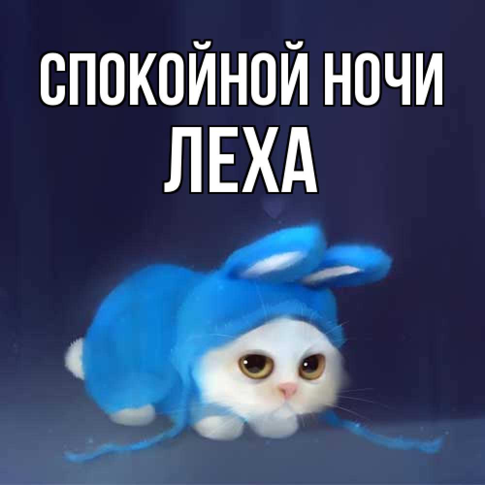 Открытка на каждый день с именем, леха Спокойной ночи кот в голубом костюме кролика с ушками Прикольная открытка с пожеланием онлайн скачать бесплатно 
