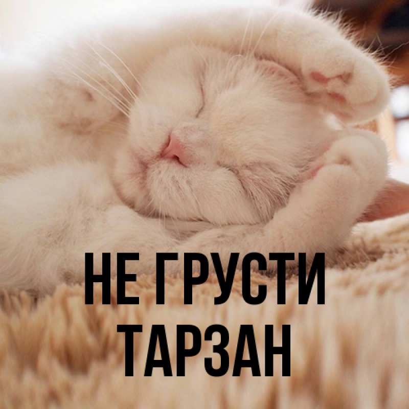 Картинка Не грусти, Тарзан