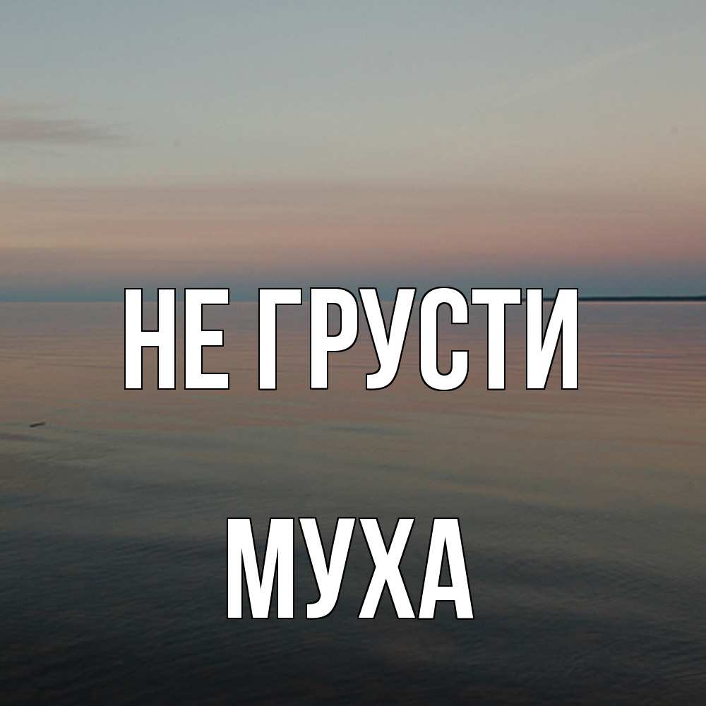 Открытка на каждый день с именем, Муха Не грусти водная гладь Прикольная открытка с пожеланием онлайн скачать бесплатно 