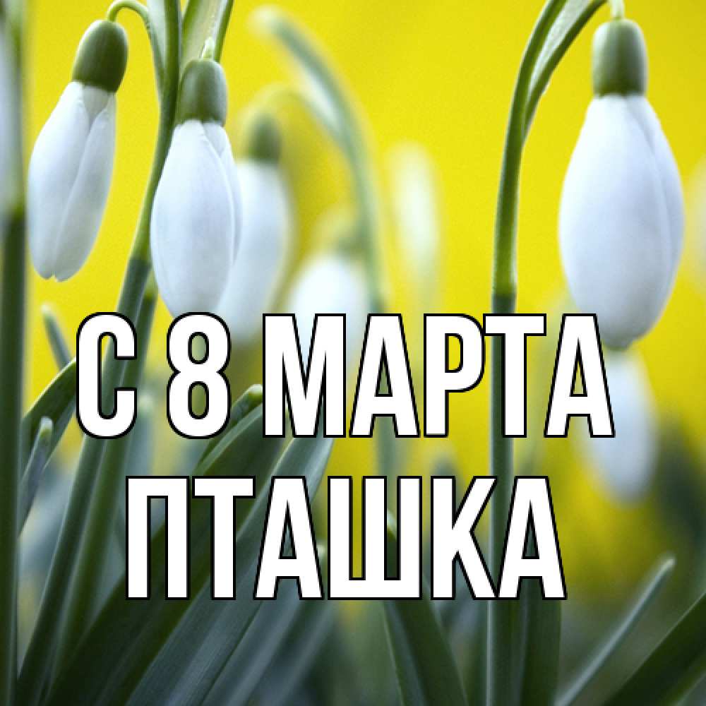Открытка на каждый день с именем, пташка C 8 МАРТА весенние цветы Прикольная открытка с пожеланием онлайн скачать бесплатно 
