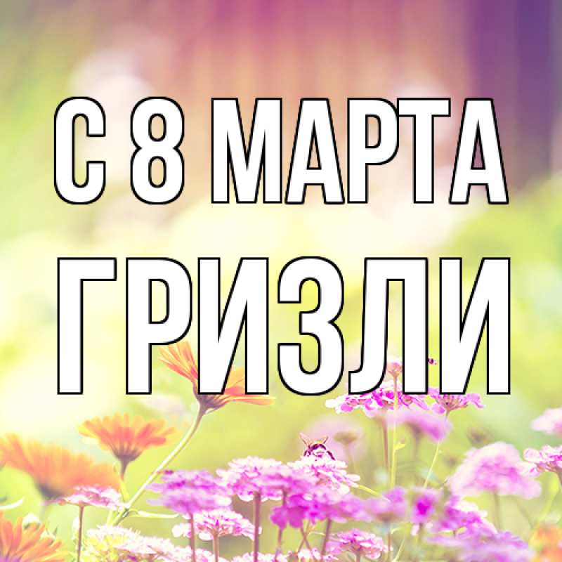 Картинка C 8 МАРТА, Гризли
